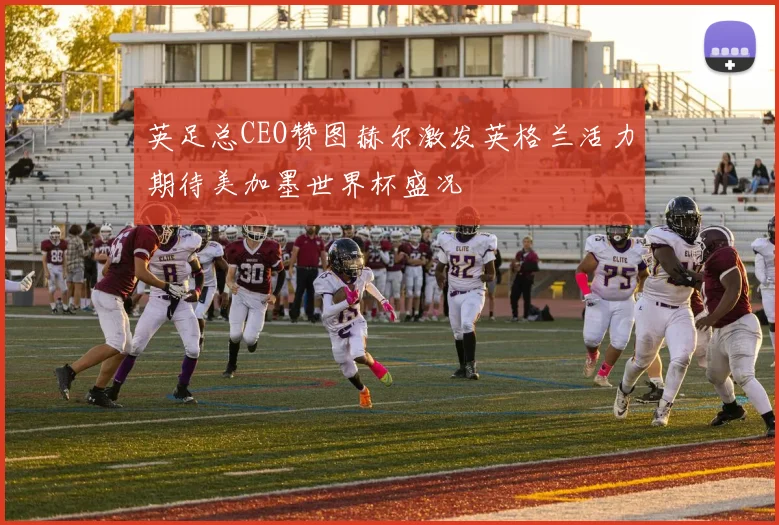英足总CEO赞图赫尔激发英格兰活力期待美加墨世界杯盛况