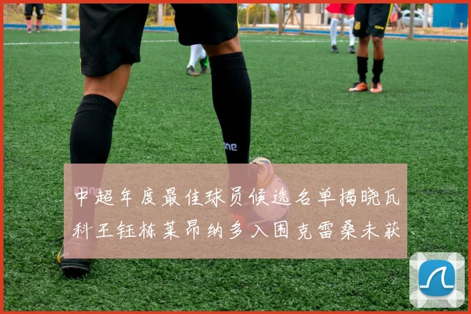 中超年度最佳球员候选名单揭晓瓦科王钰栋莱昂纳多入围克雷桑未获提名